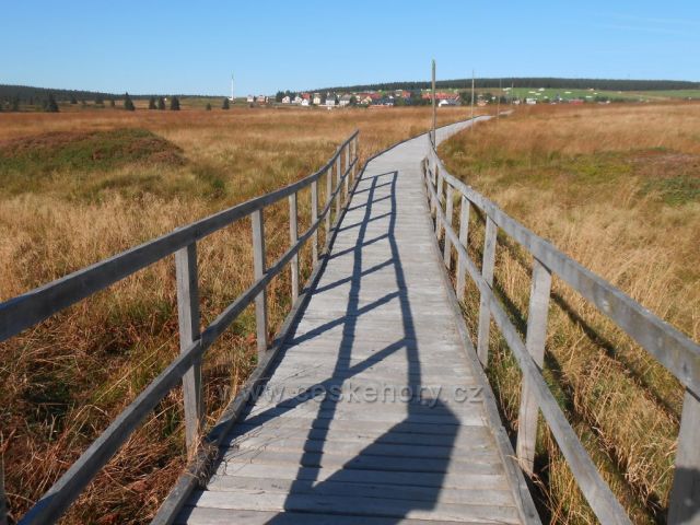 Božidarské rašeliniště