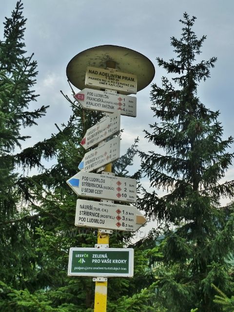 Králický Sněžník - turistický rozcestník Nad Adéliným pramenem(1040 m.n.m.)