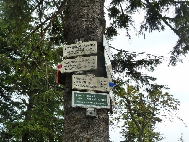 Králický Sněžník - turistický rozcestník Stříbrnická, sedlo (1212 m.n.m.)
