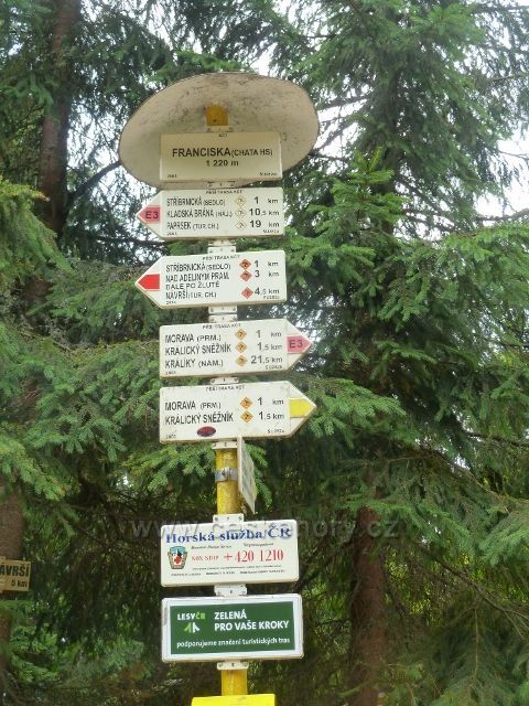 Králický Sněžník - turistický rozcestník Franciska(1220 m.n.m.)