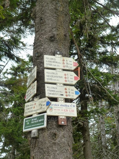 Králický Sněžník - turistický rozcestník Stříbrnická,sedlo(1212 m.n.m.)