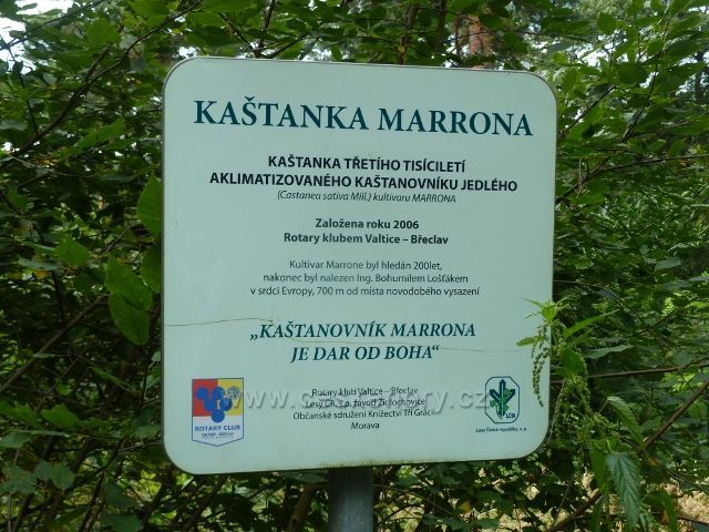 Lednice - tabulka označující lokalitu nově vysazené kaštanky