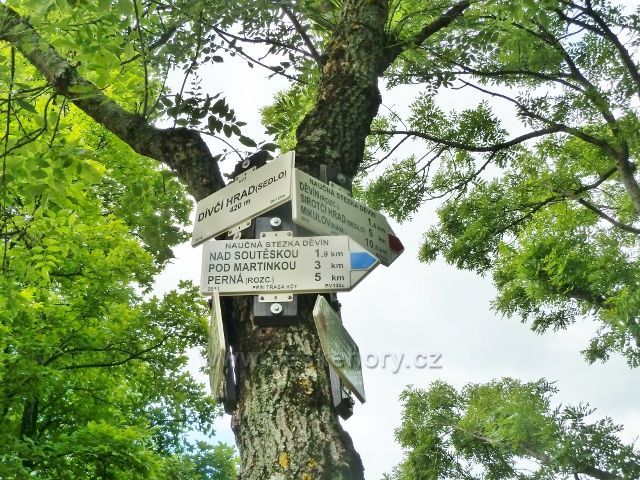 Pavlov - turistický rozcestník Dívčí hrad , sedlo(420 m.n.m.)