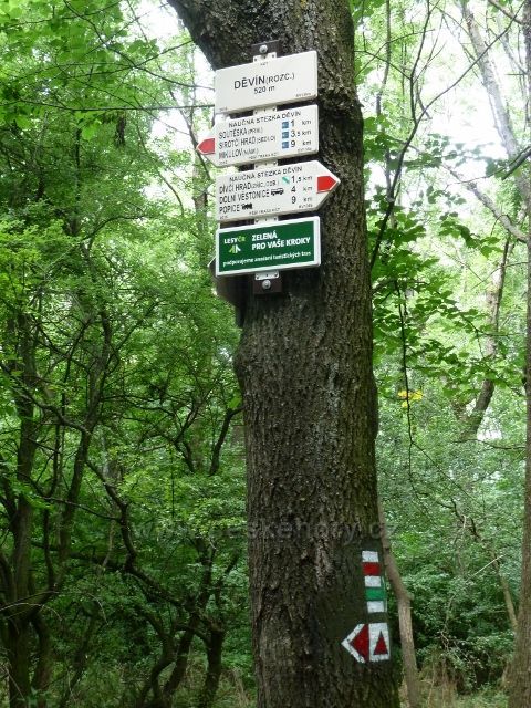 Pálava - turistický rozcestník Děvín,rozcestí (520 m.n.m.)