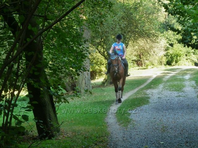 Okoř - po cestě podél Zákolanského potoka lze potkat i jezdce na koni