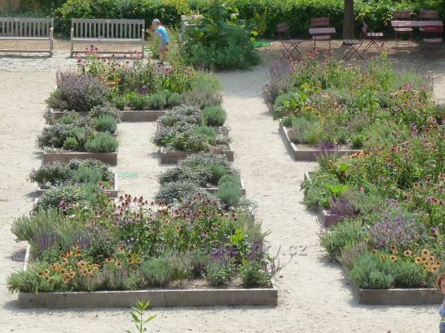 Valtice - bylinková zámecká zahrada
