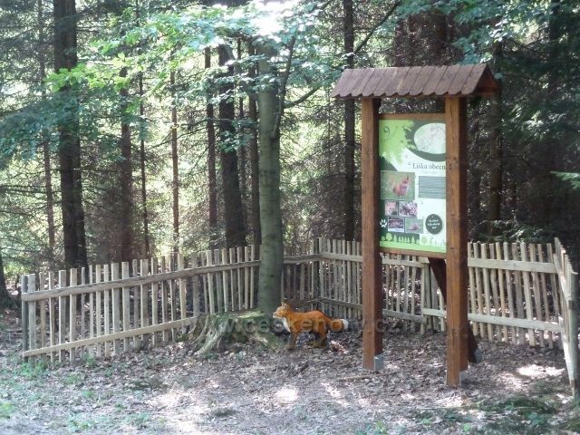 Dlouhoňovice - 9. zastavení Cesty lesem