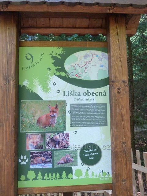 Dlouhoňovice - tabule 9. zastavení Cesty lesem