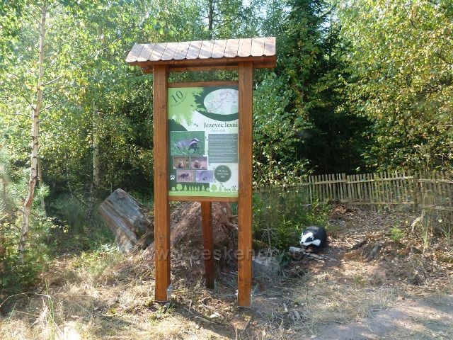 Dlouhoňovice - 10.zastavení NS Cesta lesem
