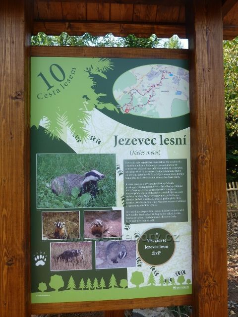 Dlouhoňovice - tabule 10.zastavení Cesty lesem