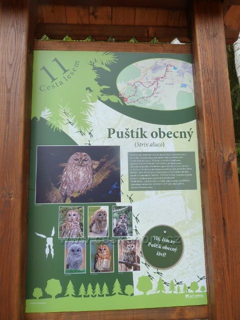 Dlouhoňovice - tabule 11. zastavení Cesty lesem