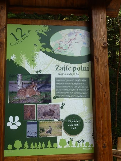Dlouhoňovice - tabule 12. zastavení Cesty lesem