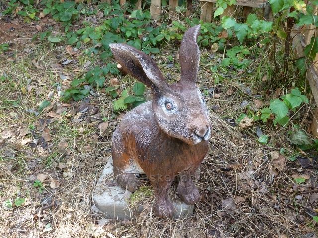Dlouhoňovice - 12.zastavení Cesty lesem - zajíc polní