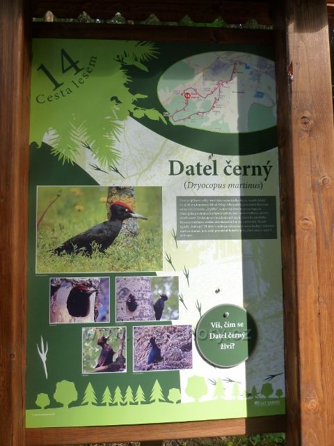 Dlouhoňovice - tabule 14. zastavení Cesty lesem