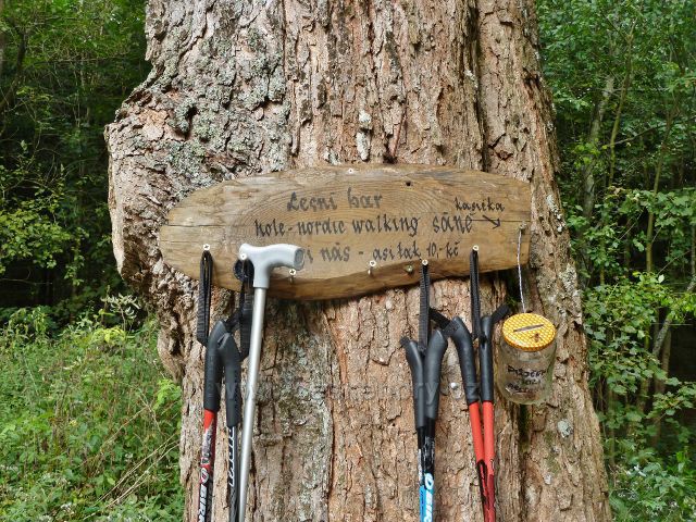 Horní Lipová - samoobslužná pújčovna holí  u silničky pod lesním barem