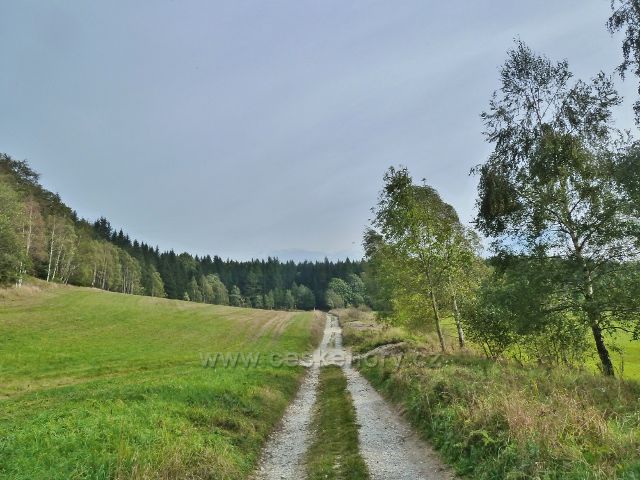 Horní Lipová - cesta k rozcestí "Pod Kopřivným"