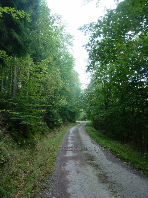 Lanšperk - lesní silnička k bývalé Státní chatě