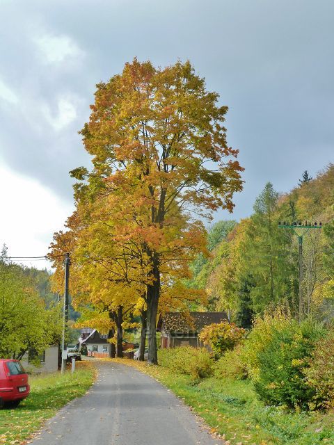Těchonín - barvy podzimu v horní části obce