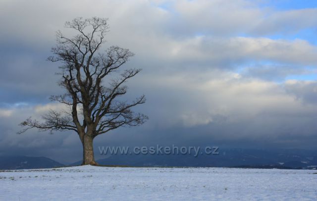vyhlídkové místo U Javoru