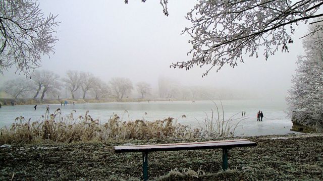 Slavkov u Brna-rybník