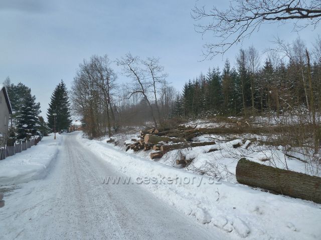 Žamberk - zimní těžba dřeva u Lukavské ulice