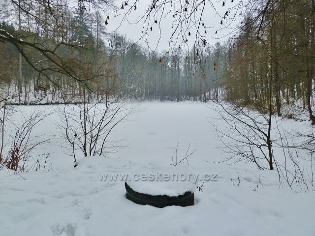 Žamberk - zamrzlý  rybník "Křižák" v zámeckém parku