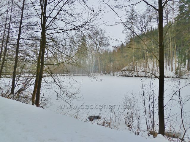 Žamberk - zamrzlý rybník"Křižák" v zámeckém parku