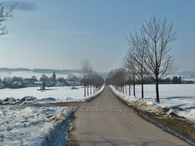 Lukavice - lipová alej od kostela ke hřbitovu