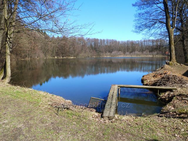 Žamberk - Dymlovský rybník 