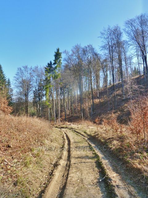 Cesta po modré TZ údolím ke Kozlovskému kopci