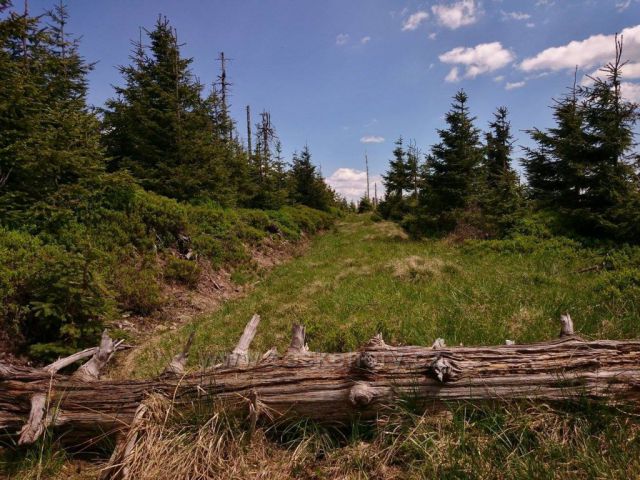 Mokřiny pod Sušinou .