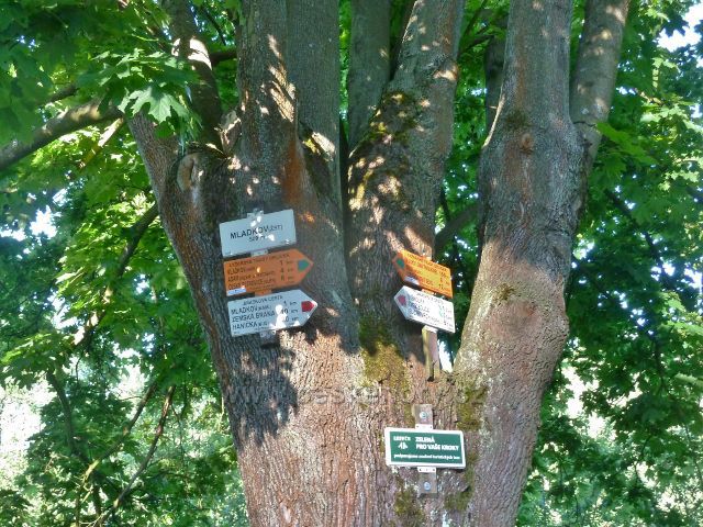 Turistický rozcestník Mladkov(žst.)