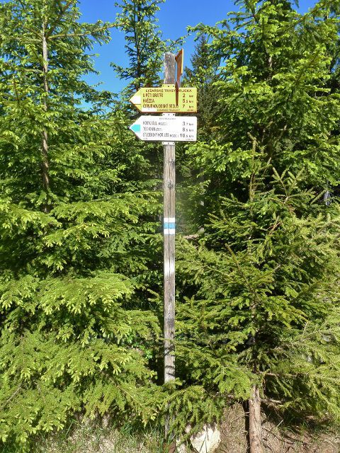 Rozcestník nad Kobylím dolem na trase po modré TZ