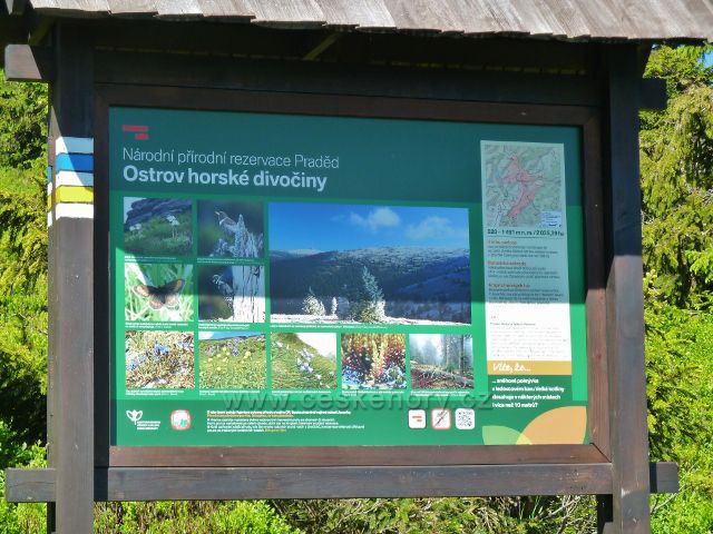 Detail tabule NPR Praděd pod vrcholkem Malého Děda