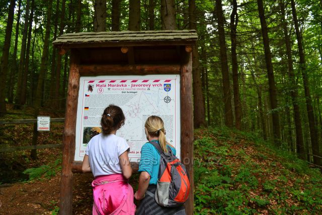 Na Javorovým vrchu.