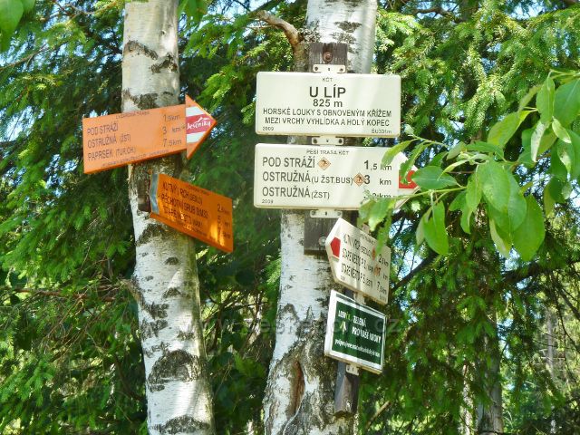 Ostružná - turistický rozcestník na červené TZ "U Líp" (825 m.n.m.)