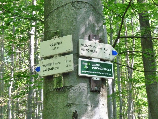 Vápenná - turistický rozcestník "Paseky" (550 m.n.m.) na cestě k Žulovému vrchu