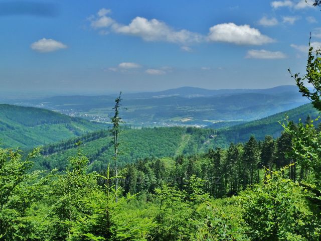 Lázně Jeseník - pohled z úbočí studničního vrchu k Písečné