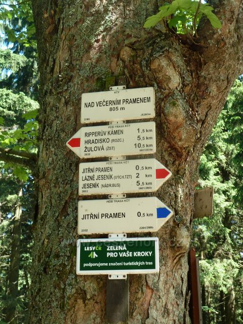 Lázně Jeseník - turistický rozcestník "Nad Večerním pramenem" (805 m.n.m.)