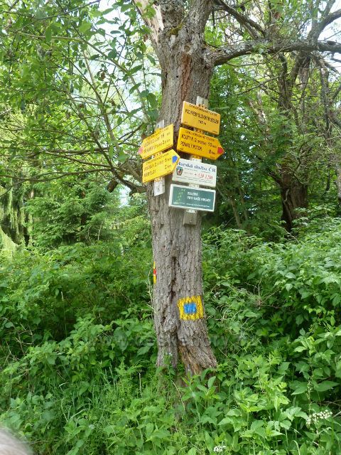 Loučná - cykloturistický rozcestník Pod Přemyslovským  sedlem (745 m.n.m.)