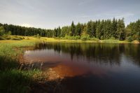 Rašeliniště Kapličky