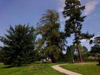 Loučná nad Desnou zámek s parkem