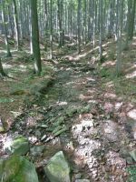 Bystřice n.O. - téměř  vyschlé koryto potoka Liderov pod Malým Kozincem