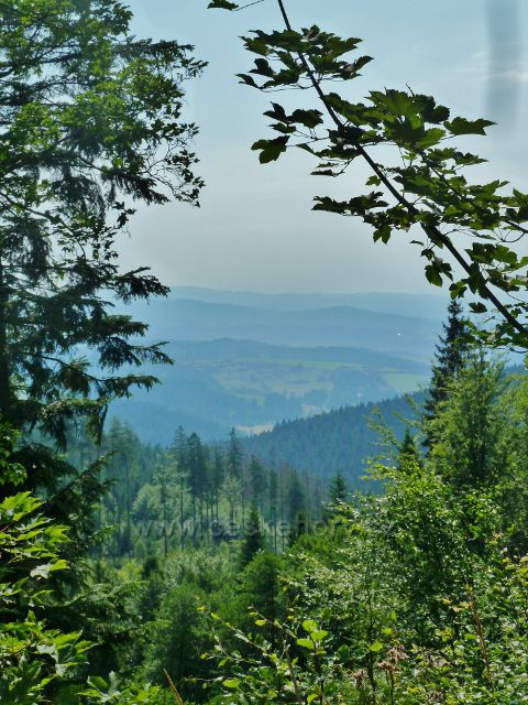 Pohled z úbočí Čerchlaného Beskydu na Kysucké vrchy