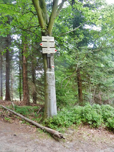 Turistický rozcestník"Kyčera(pod Skalkou),880 m.n.m.