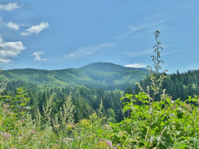 Pohled z cesty po modré TZ osadou Za Ostrou k Lysé hoře