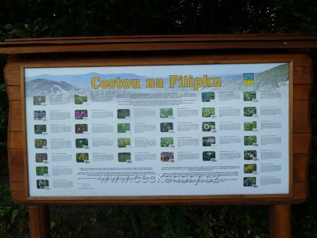 Hrádek -tabule " Cestou na Filipku" u silničky k chatě Hrádek ukazuje rozmanitost Beskydské květeny