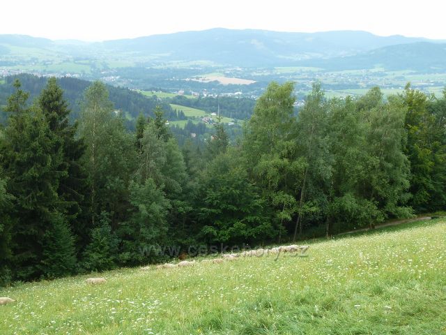 Pastva ovcí na úbočí vrchu Hrádek, v pozadí Jablunkov a Moravské Beskydy