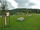 V Aleji Dobra u silničky na Filipku jsou vysázeny původní české a moravské odrůdy jabloní