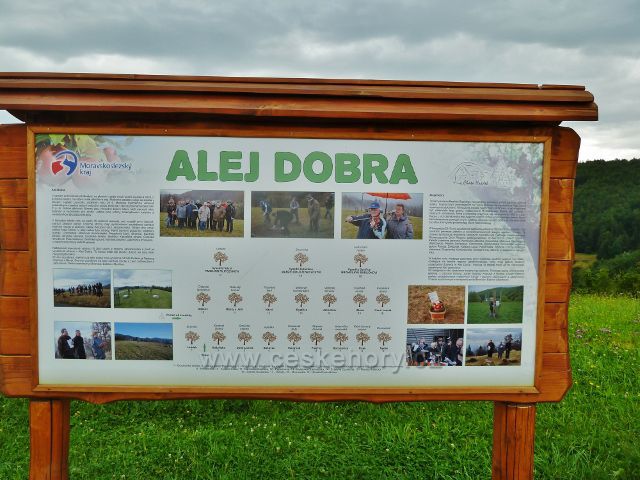 Informační tabule v Aleji Dodra